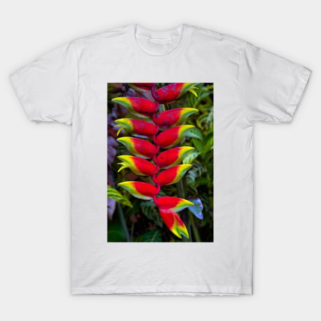 Heliconia T-Shirt by likbatonboot